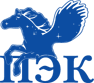 Логотип транспортной компании «ПЭК»